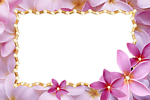 精美粉色花相框