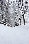 雪景