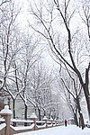 雪景