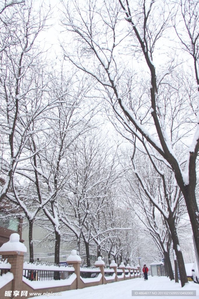 雪景