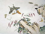 国画 蝴蝶