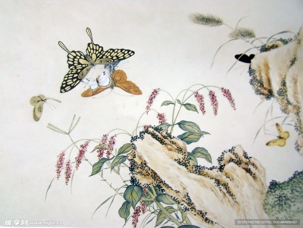 国画 蝴蝶