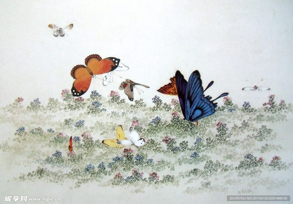 国画 蝴蝶