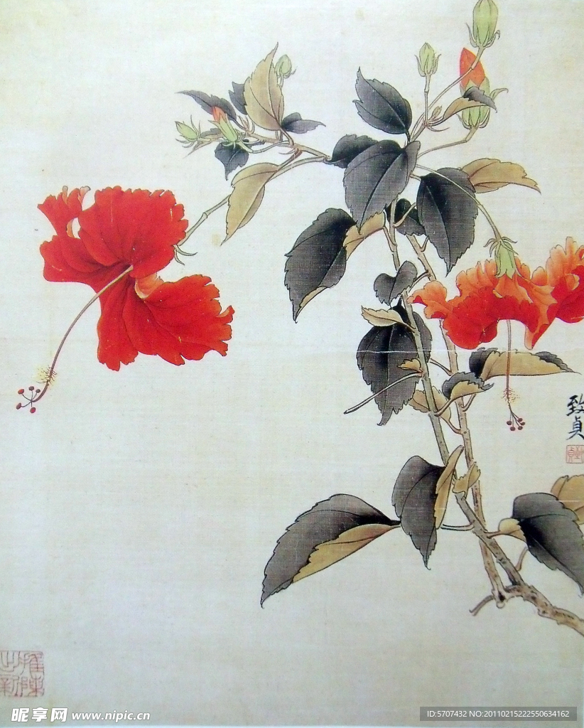 国画 花草