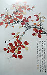 西山红叶