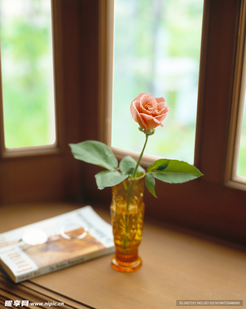 窗前书桌上的花瓶玫瑰书刊