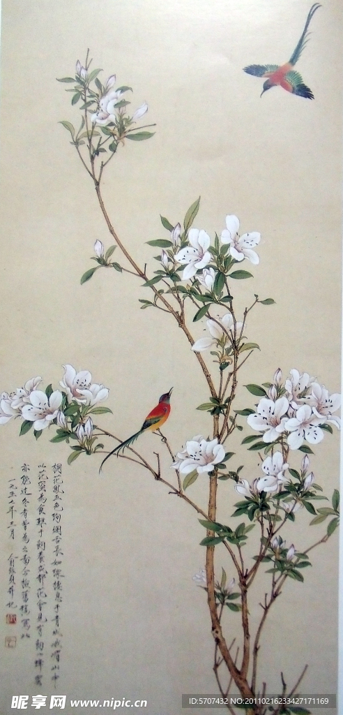 国画 花鸟画