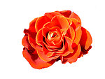 鲜花