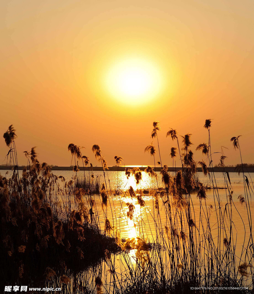 太湖落霞