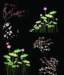 梅花荷花梅树素材