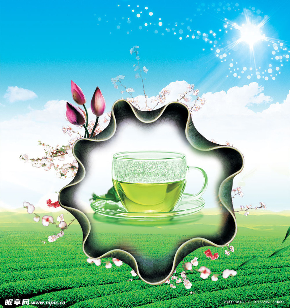 茶叶宣传模版