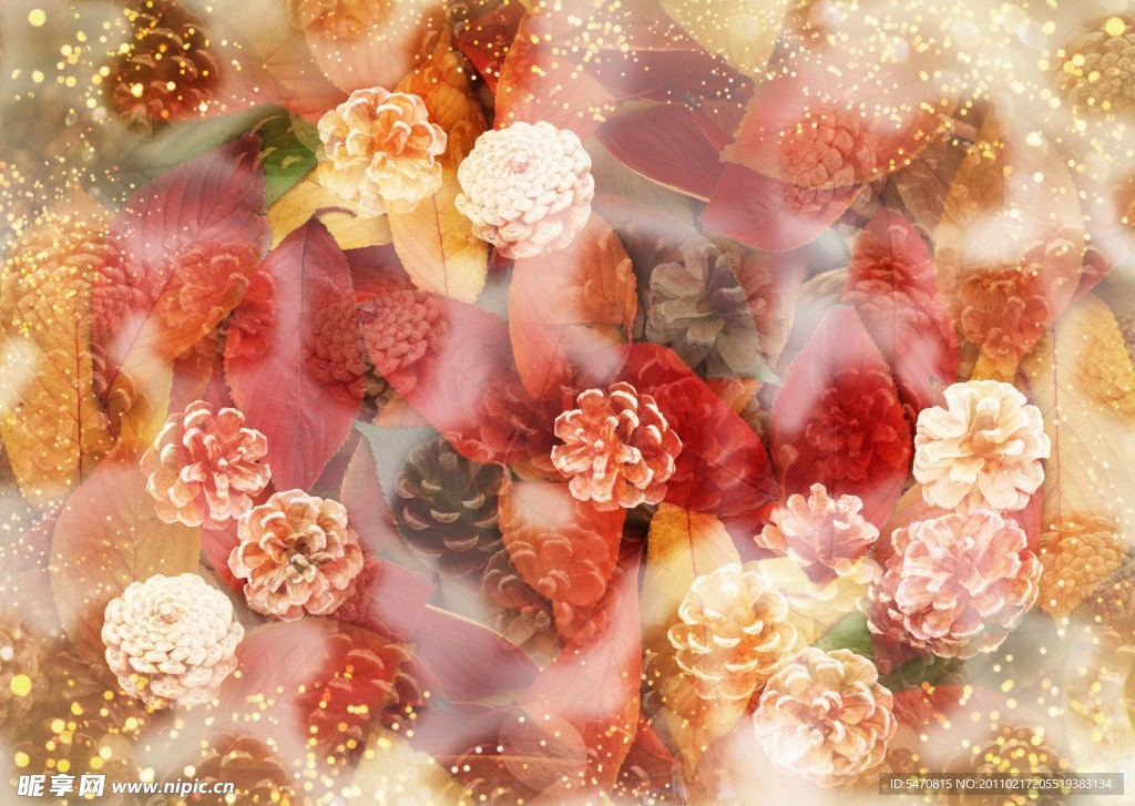 漂亮花图