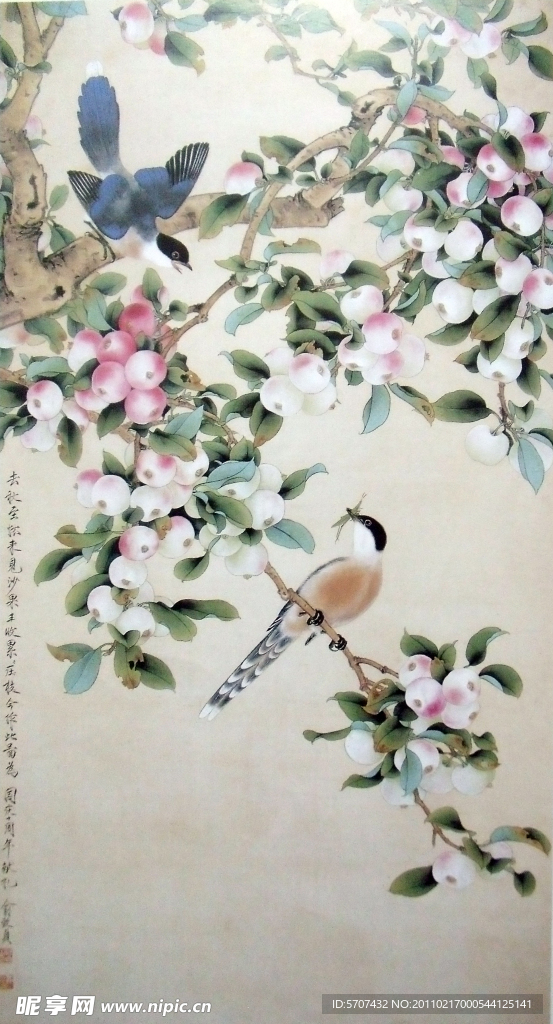 国画 花鸟画
