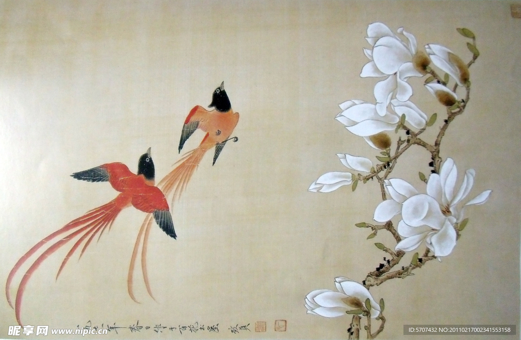 国画 花鸟画