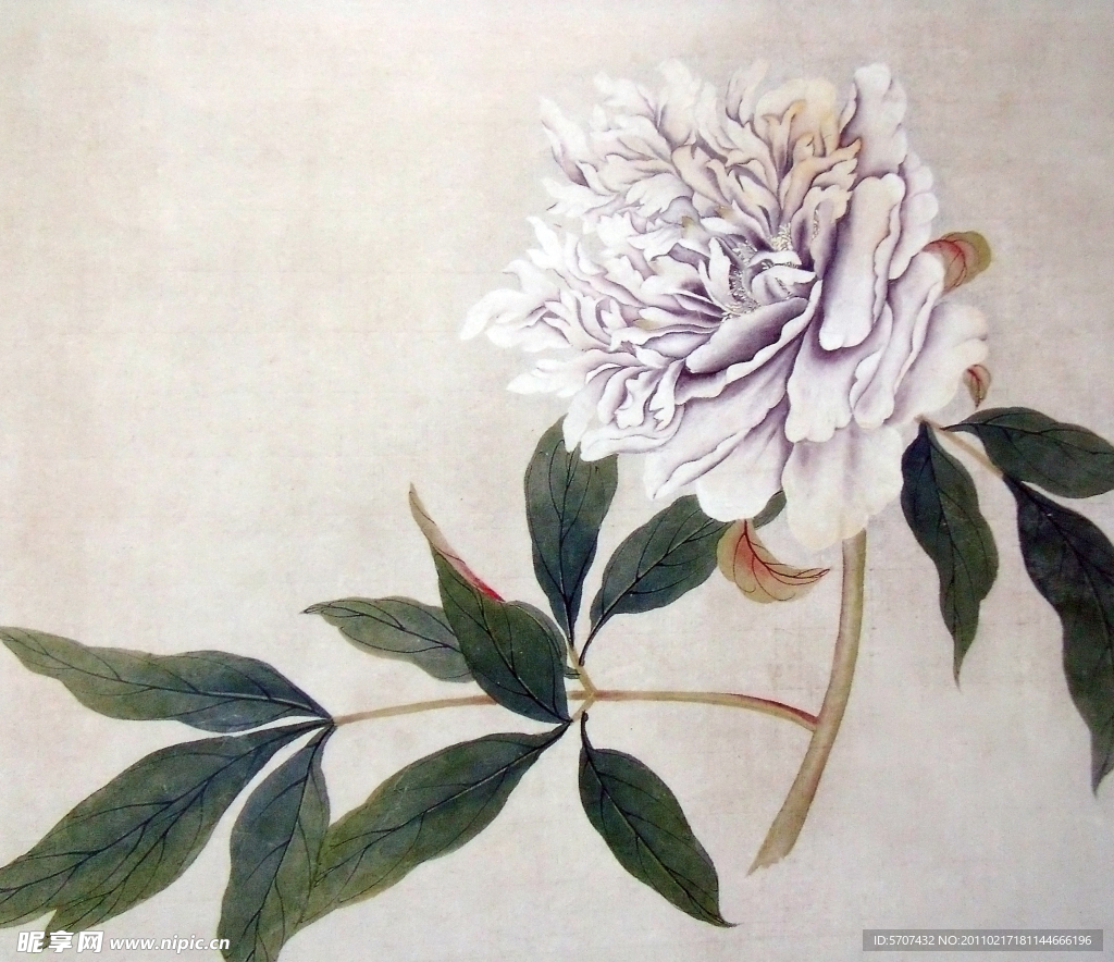 国画 花草