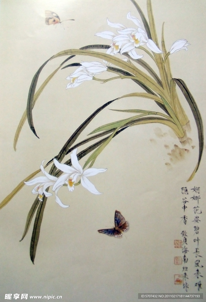 国画 花鸟画