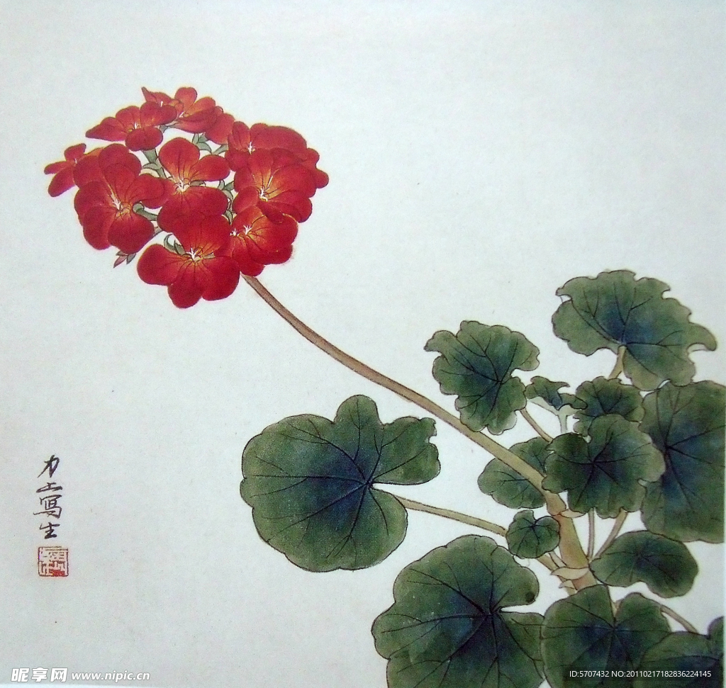 国画 花草