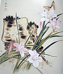 国画山石 花鸟画