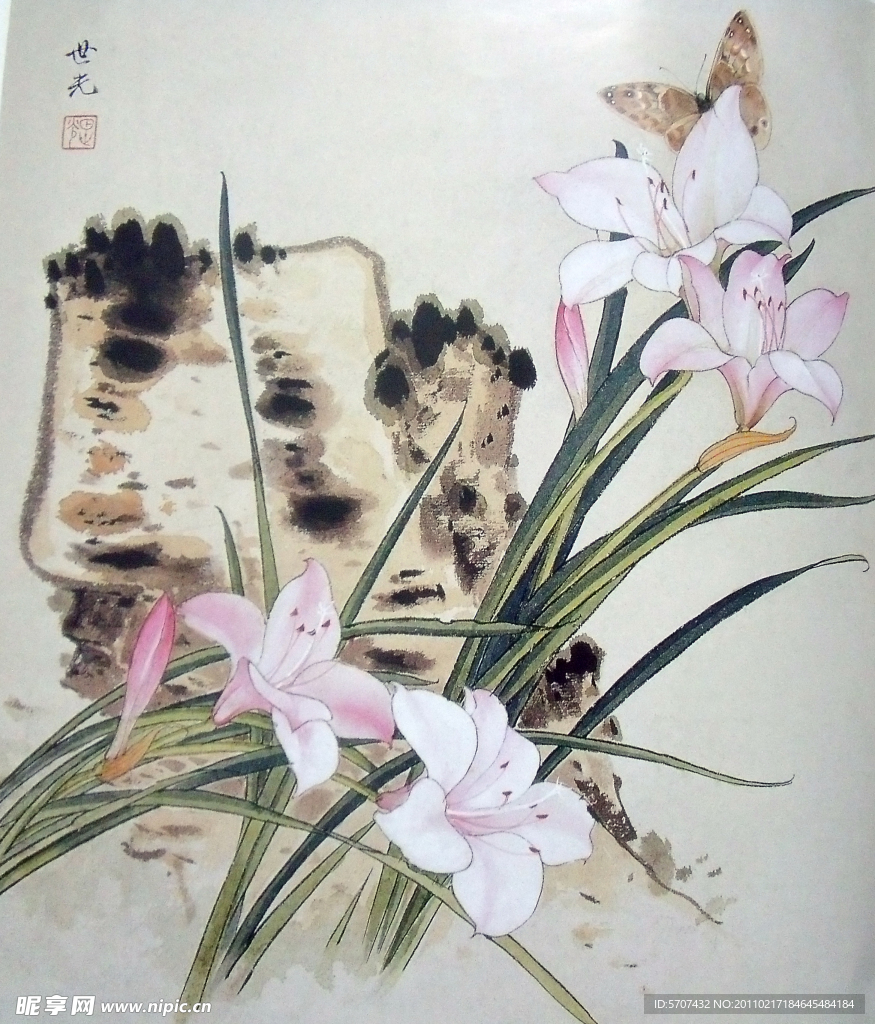 国画山石 花鸟画