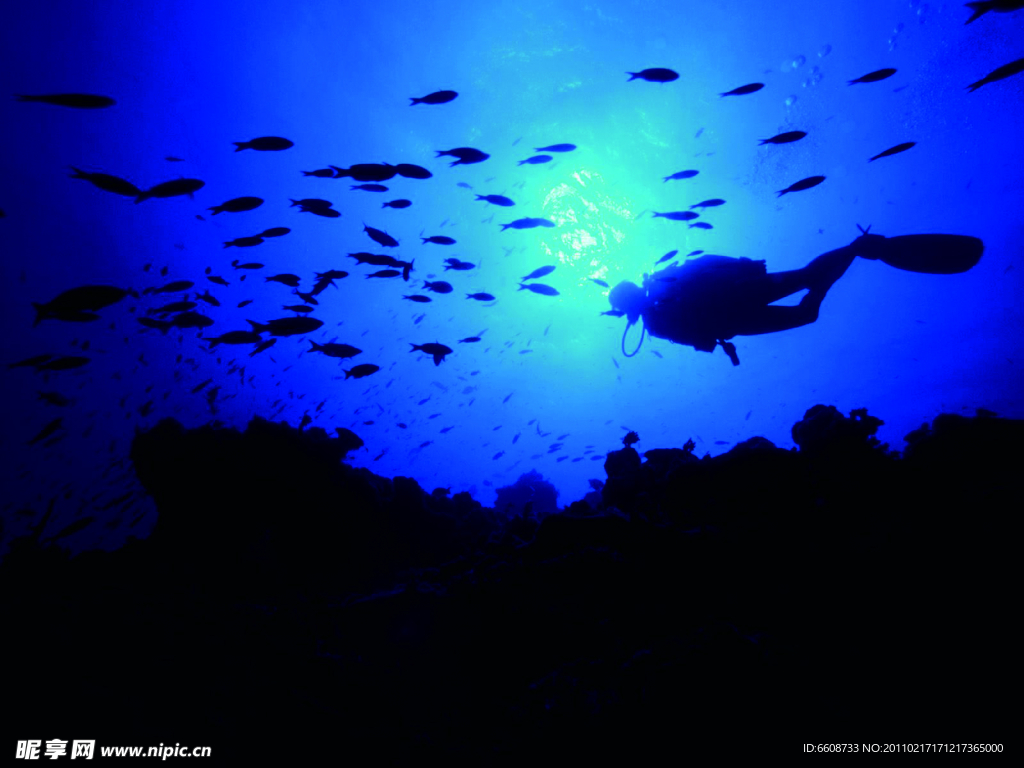 潜水员海底自然摄影
