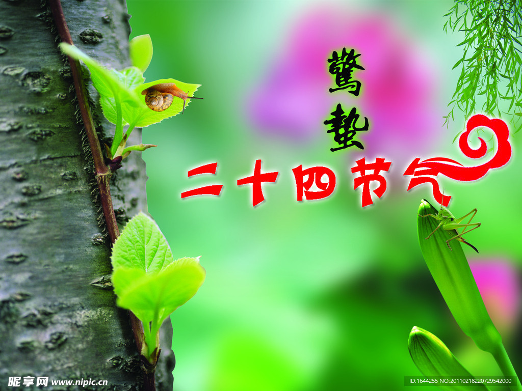 24节气 惊蛰