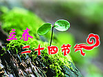 二十四节气 立春