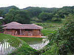 韩国田园风景