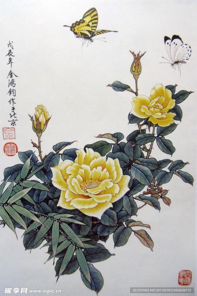 国画 花草 月季