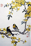 国画 花鸟