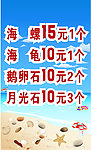 沙滩 贝壳 海螺