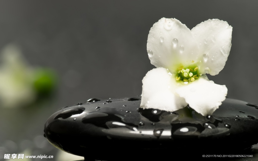 百合花 磁石 按摩石