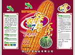 农华7号
