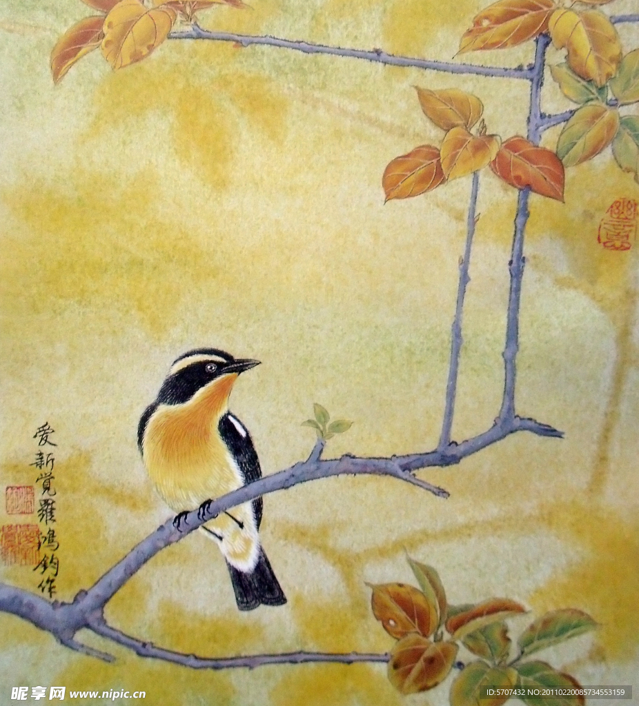 国画 山水 花鸟