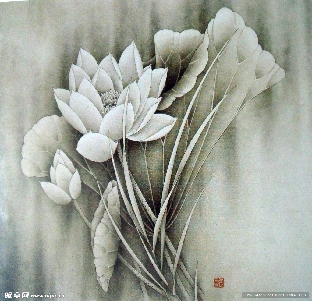 国画 荷花
