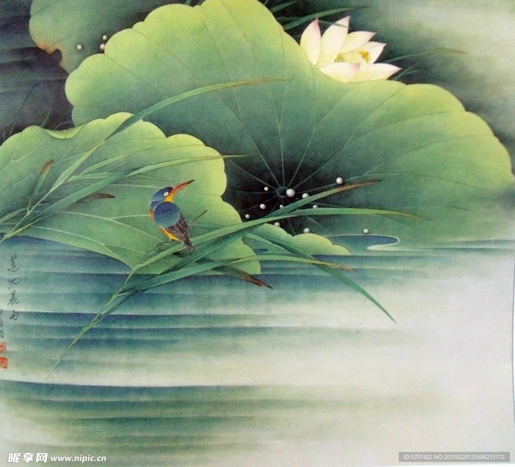 国画 荷花