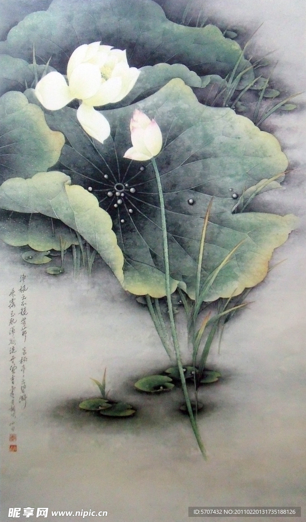 国画 荷花