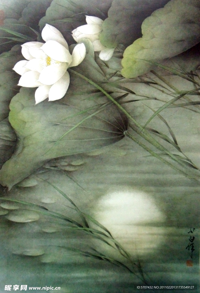 国画 荷花