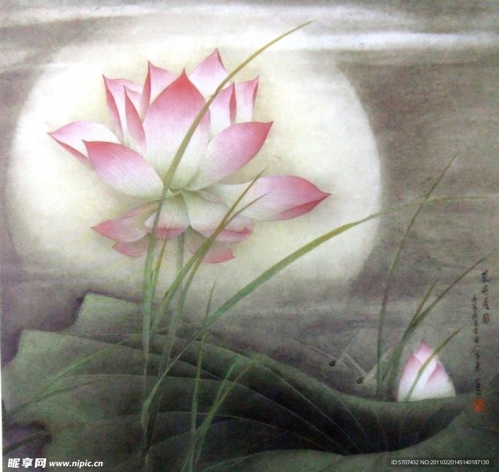 国画 荷花
