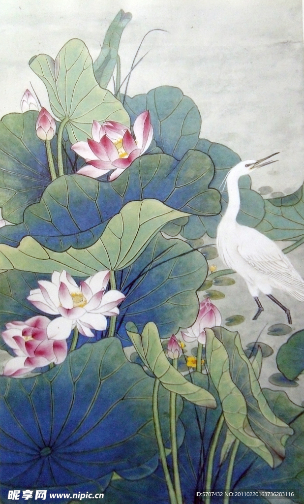 国画 荷花