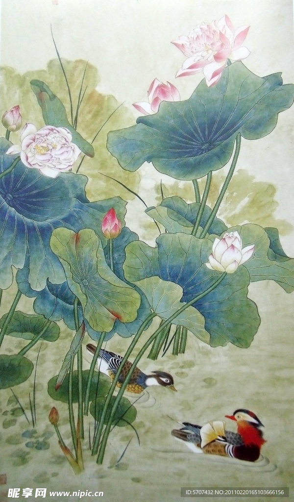 国画 荷花