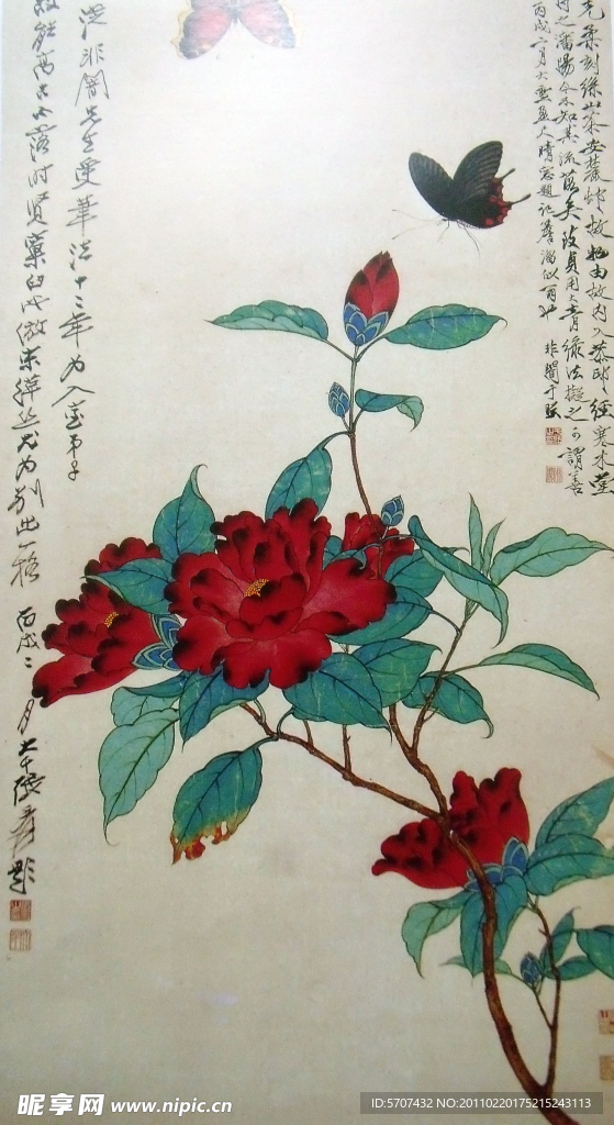 国画 花草