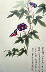国画 花草 牵牛花