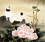 牡丹鸽子