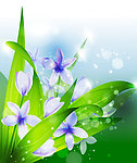 迎春花矢量素材