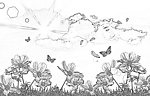 自然风景