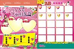 三八节DM正反面
