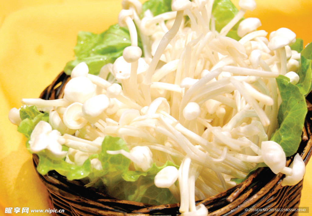 金针菇