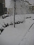 白雪