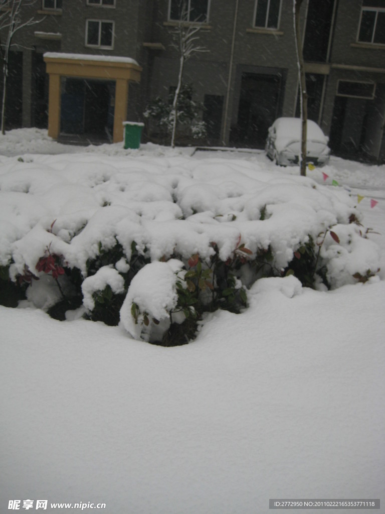 白雪