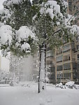 雪景